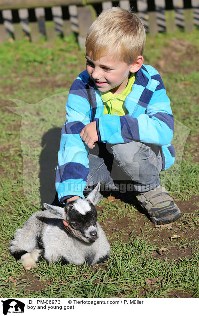 boy and young goat / PM-06973