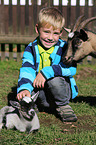boy and goats