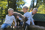 kids and goat