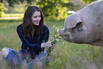 pig