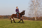woman rides donkey