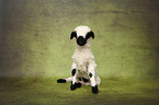 lamb
