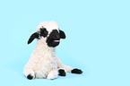lamb