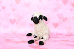 Valais Blacknose lamb