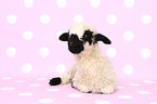 Valais Blacknose lamb