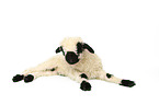 Valais Blacknose lamb