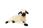 Valais Blacknose lamb