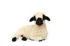 Valais Blacknose lamb