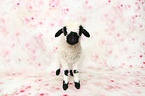 Valais Blacknose lamb