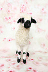 Valais Blacknose lamb