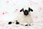 Valais Blacknose lamb