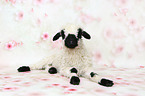 Valais Blacknose lamb