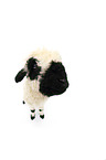 Valais Blacknose lamb