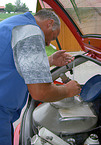 insemination