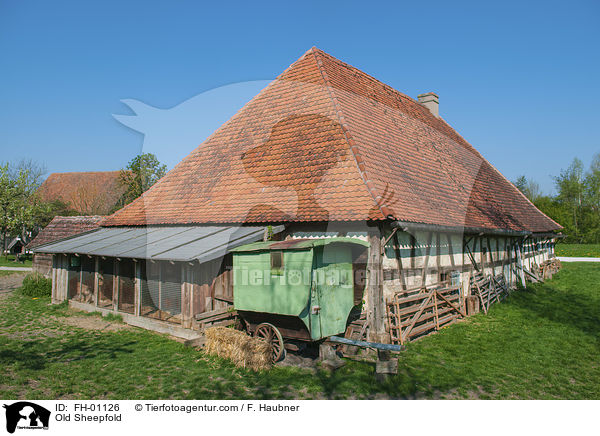 Alter Schafstall / Old Sheepfold / FH-01126