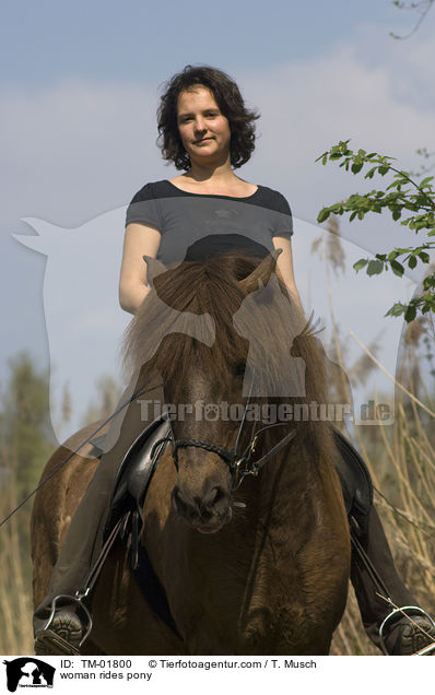 Frau reitet Aegidienberger / woman rides pony / TM-01800