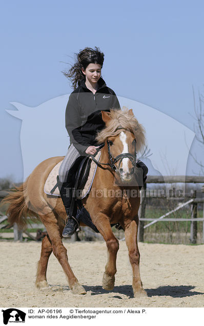 Frau reitet Aegidienberger / woman rides Aegidienberger / AP-06196