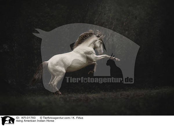 rising American Indian Horse / KFI-01760