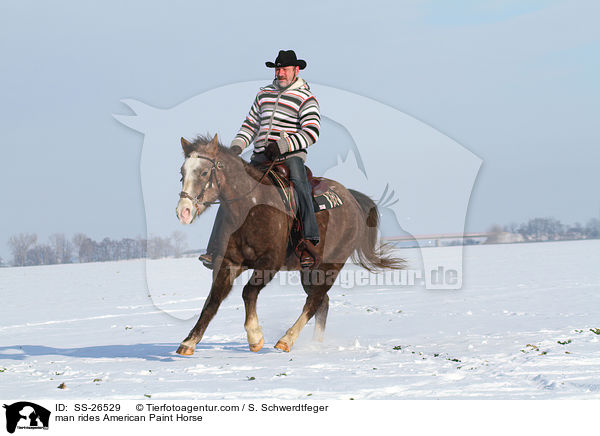 man rides American Paint Horse / SS-26529