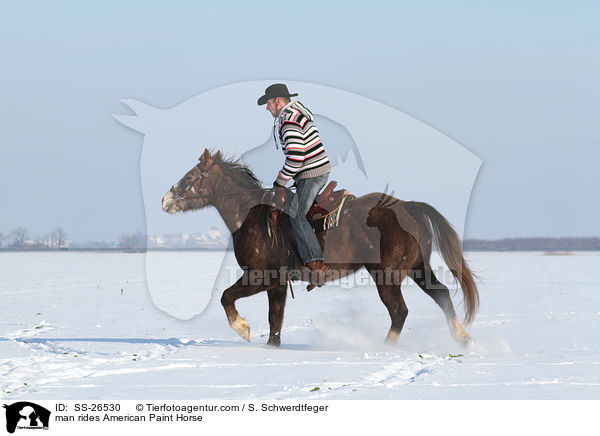 man rides American Paint Horse / SS-26530