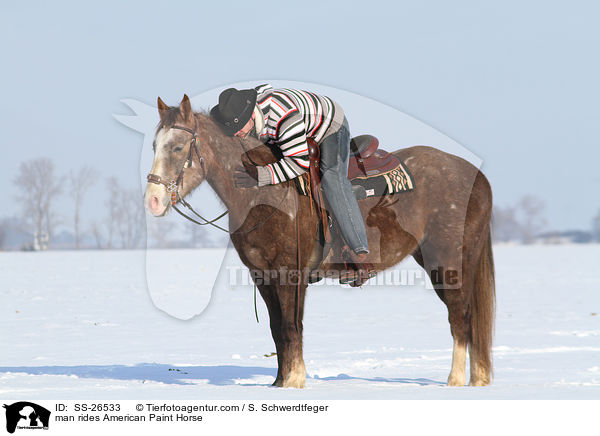 man rides American Paint Horse / SS-26533