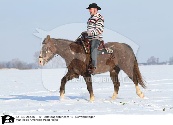 man rides American Paint Horse / SS-26535