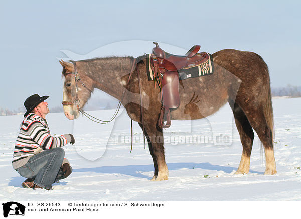 man and American Paint Horse / SS-26543
