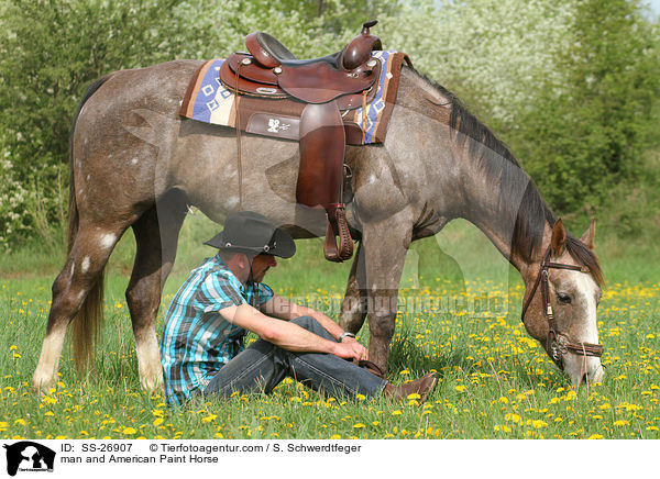 Mann und American Paint Horse / man and American Paint Horse / SS-26907