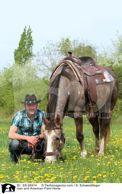 Mann und American Paint Horse / man and American Paint Horse / SS-26914