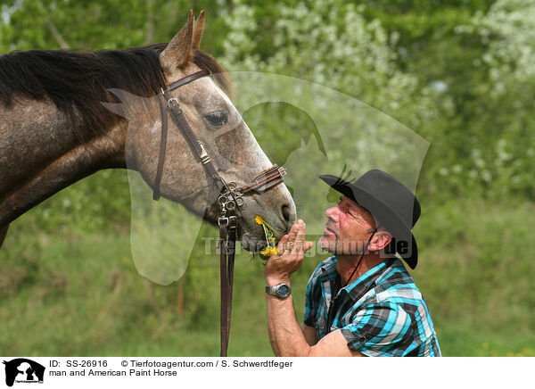 man and American Paint Horse / SS-26916