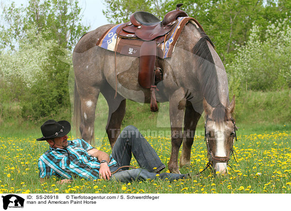 man and American Paint Horse / SS-26918