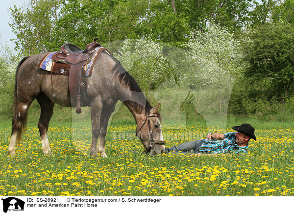 Mann und American Paint Horse / man and American Paint Horse / SS-26921
