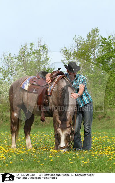 Mann und American Paint Horse / man and American Paint Horse / SS-26930