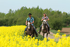 riders with horses