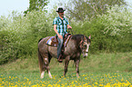 man rides American Paint Horse