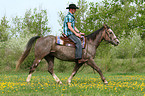 man rides American Paint Horse