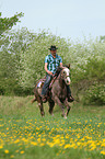 man rides American Paint Horse