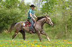 man rides American Paint Horse