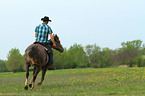 man rides American Paint Horse