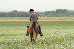 man rides American Paint Horse