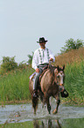 man rides American Paint Horse