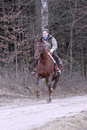 woman rides American Saddlebred Horse