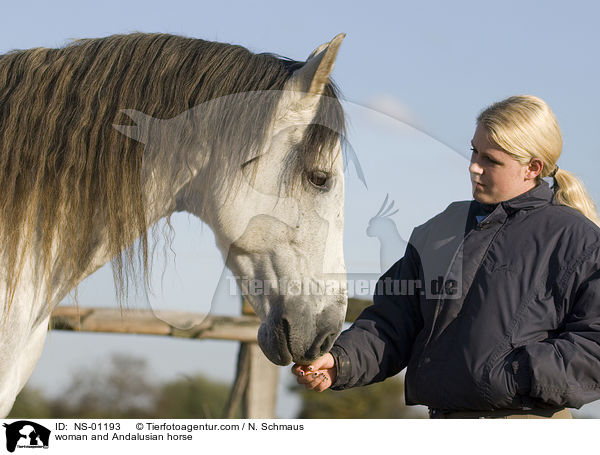 woman and Andalusian horse / NS-01193