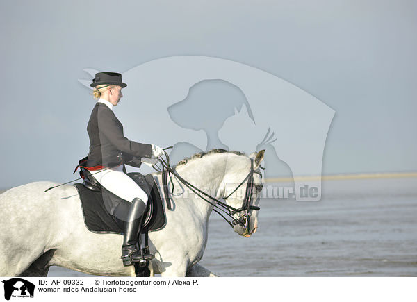 woman rides Andalusian horse / AP-09332