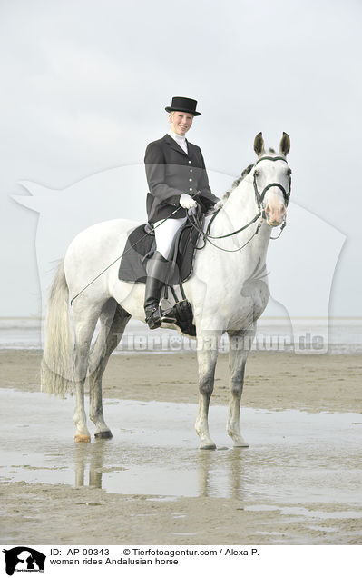 woman rides Andalusian horse / AP-09343