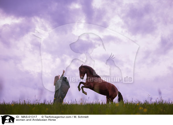 Frau und Andalusier / woman and Andalusian Horse / MAS-01317