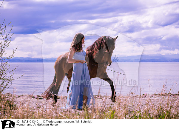 Frau und Andalusier / woman and Andalusian Horse / MAS-01340