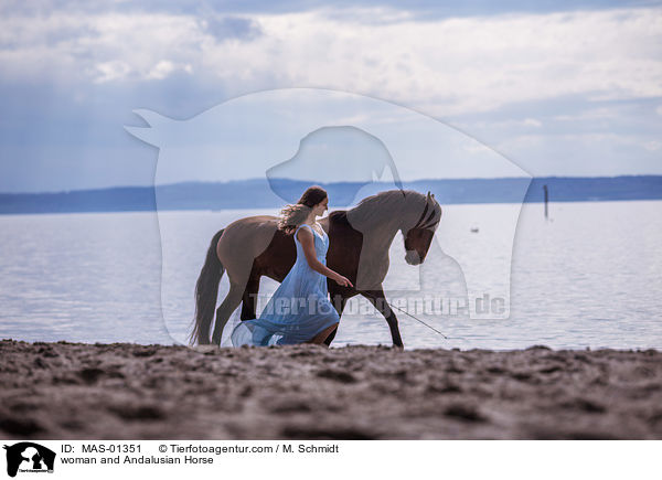 Frau und Andalusier / woman and Andalusian Horse / MAS-01351