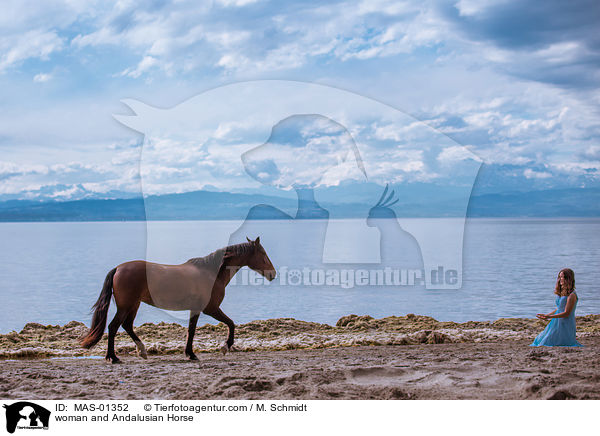 Frau und Andalusier / woman and Andalusian Horse / MAS-01352