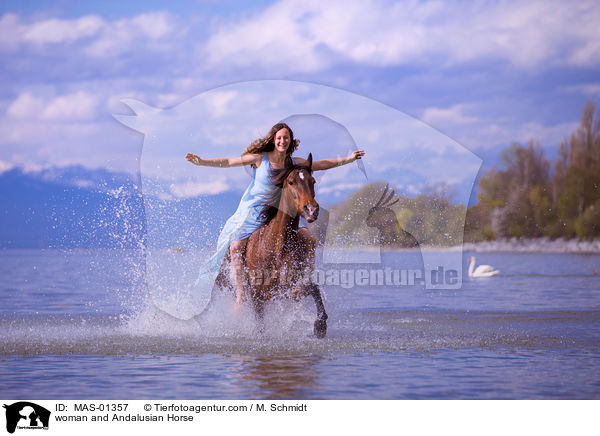 Frau und Andalusier / woman and Andalusian Horse / MAS-01357